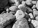 rocks